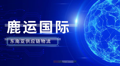 全球供应链变革 数字技术为外贸服务注入新动能